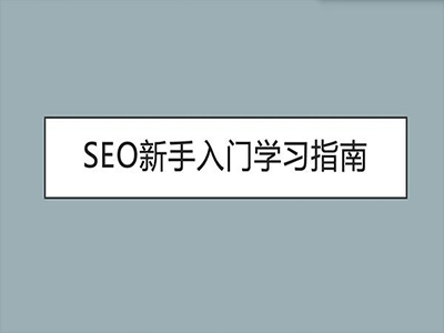 新手小白如何做SEO？